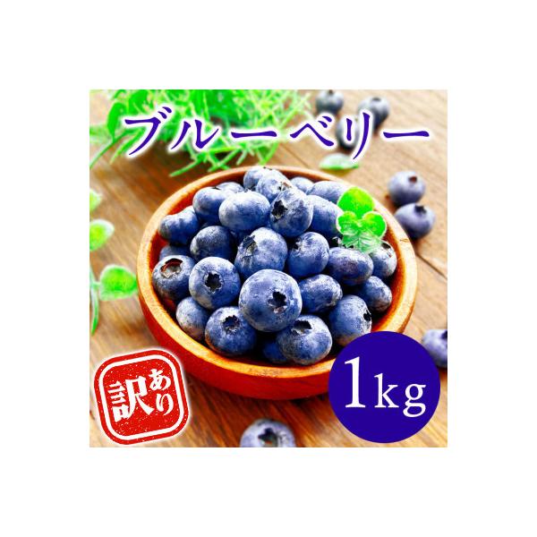 【訳あり】熊本県あさぎり町産 粒の大きさ不揃い 手摘みブルーベリー 生果実 約1kg