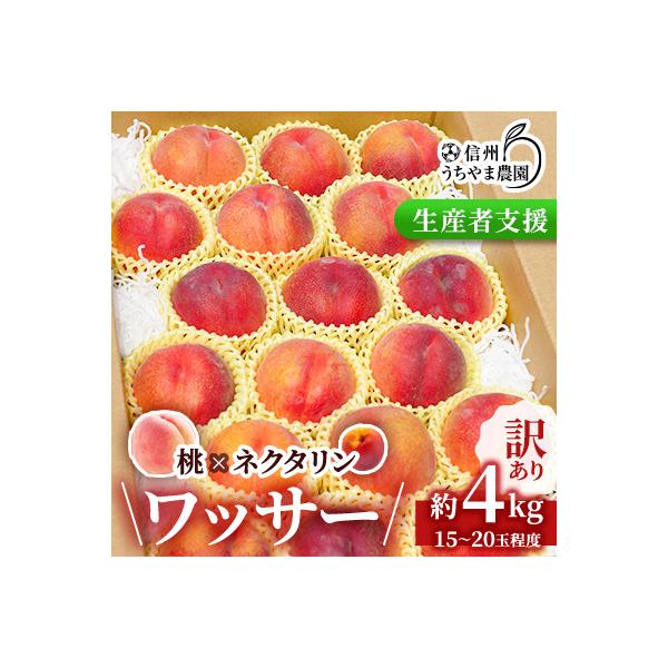 【訳あり】ワッサー(ピーチワッサー)約4kg　桃×ネクタリンの掛け合わせ