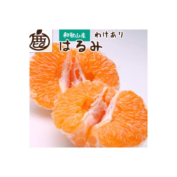 ふるさと納税 広川町 家庭用 はるみ1kg+250g(傷み補償分)【デコポンの
