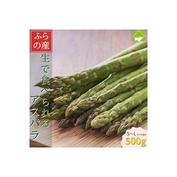 2027年先行予約「生」で食べられる!北海道富良野産　グリーンアスパラ500g (S～Lサイズ混合)