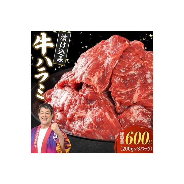 吉田精肉店の漬け込み牛ハラミ 600g(200g×3パック)