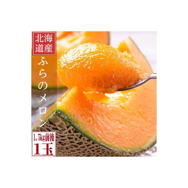 2026年先行予約 糖度15度前後 富良野メロン 2Lサイズ (1.5kg前後) 1玉入