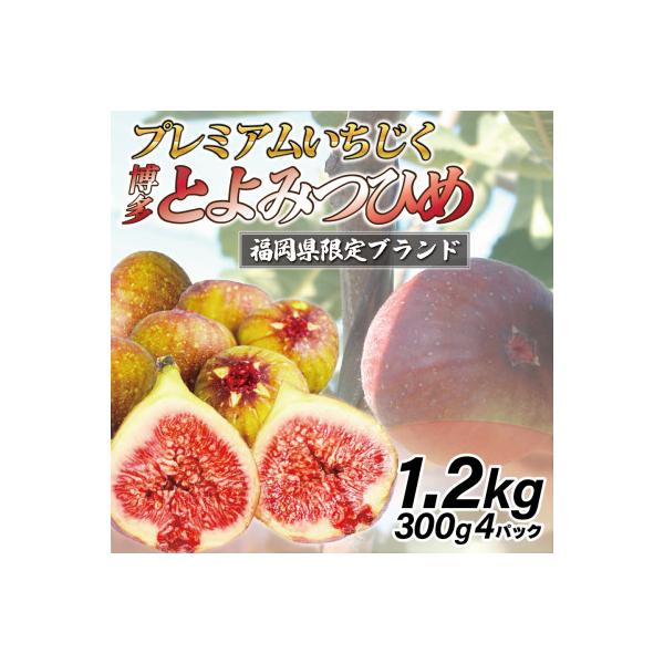 【2026年8月下旬～26年10月下旬発送予定】福岡県ブランドいちじく「博多とよみつひめ」4パック
