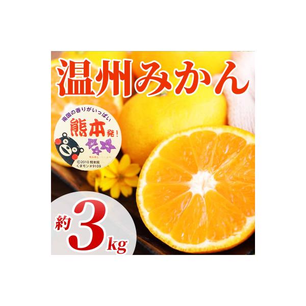 宇城市産 みかん 約3kg