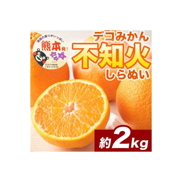 宇城市産 不知火・デコポン 約2kg