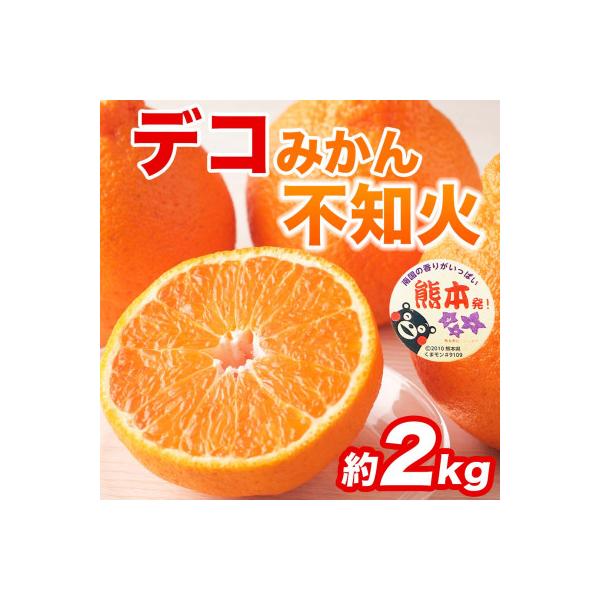 水俣市産 不知火・デコポン 約2kg