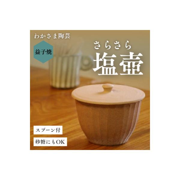 ふるさと納税 益子町 【益子焼】 塩壺・ソルトポット【大】魔法のよう