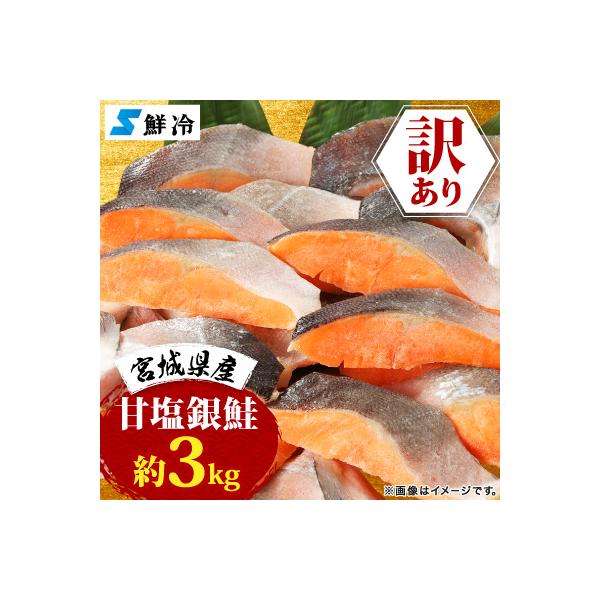 訳あり 宮城県産　銀鮭　切身　甘塩　約3kg　国産/三陸　女川町