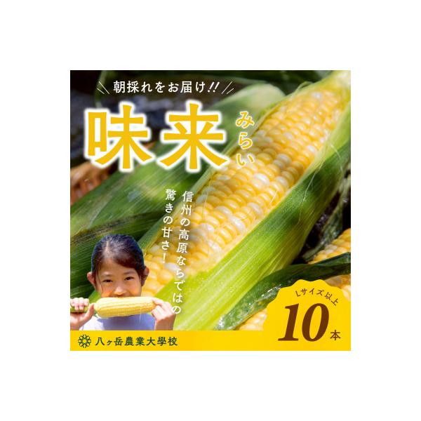 【2026年先行予約】朝採れ直送 フルーツのような甘さ『皮付き』生とうもろこし10本