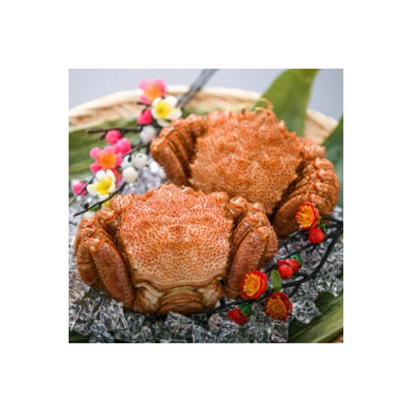 【訳あり】北海道産冷凍ボイル毛ガニ(約250g前後～約300g前後×2尾)