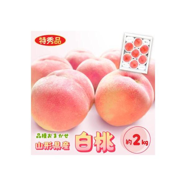 山形県産白桃 約2kg(品種おまかせ) 特秀品　柔らかくなる桃【令和8年産】