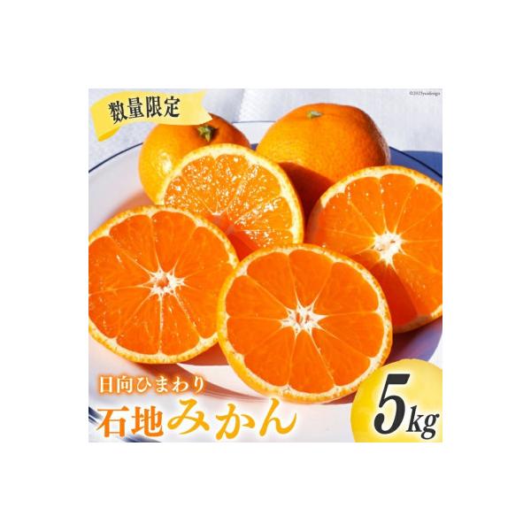 【期間限定発送】 みかん 訳あり 日向ひまわり 石地みかん 2S ～ L サイズ 5kg