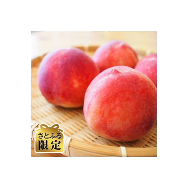 ■お礼品詳細　・配送種別：冷蔵便　・提供元：山美ファーム■お申し込み・配送・その他　・発送時期：2026-08-08〜2026-09-15(お届け時間帯指定可)　・申込受付期間：2025-07-30〜2026-08-10　・配達外のエリア：...