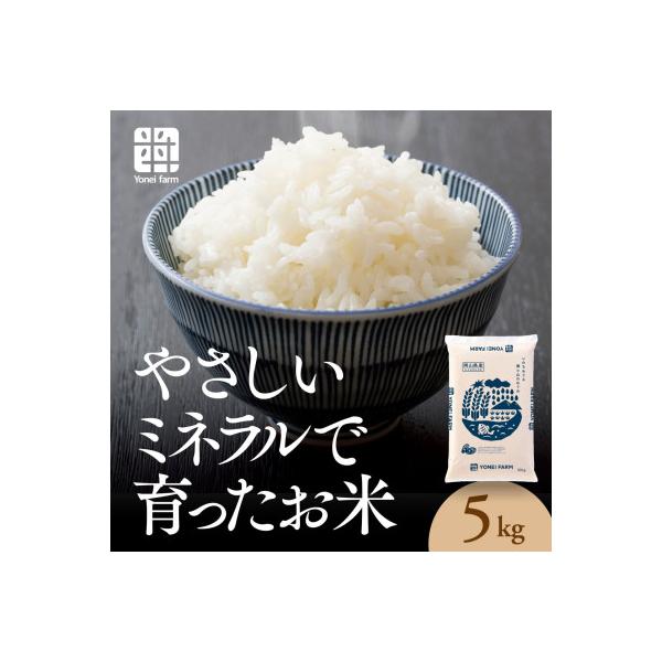 おいしいお米(5kg)無洗米　リピーター続出