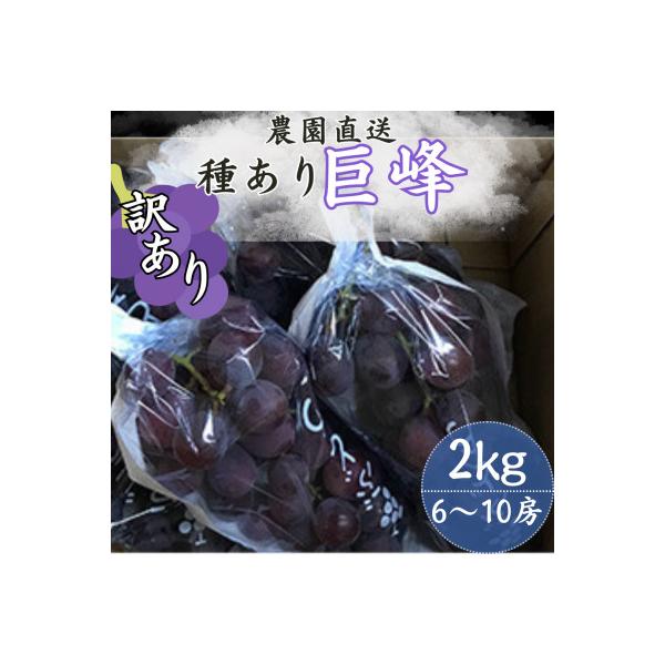 【訳あり】巨峰(種あり) 約2kg(6～10房)