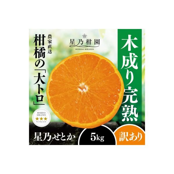 【訳あり】星乃せとか 柑橘の大トロ(5kg)【C45-97】