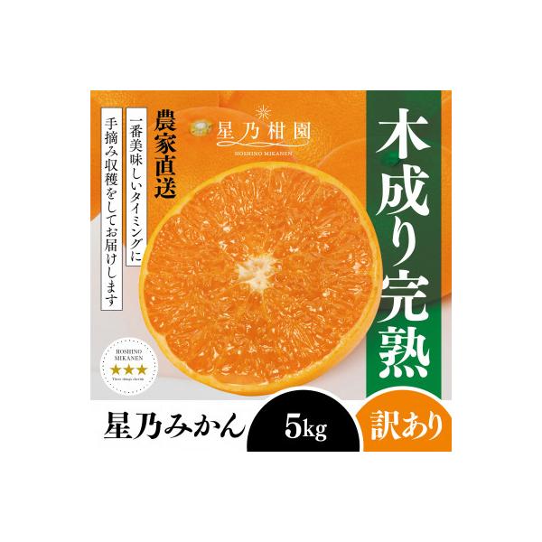 【訳あり】星乃みかん園の星乃みかん(5kg)【A45-98】