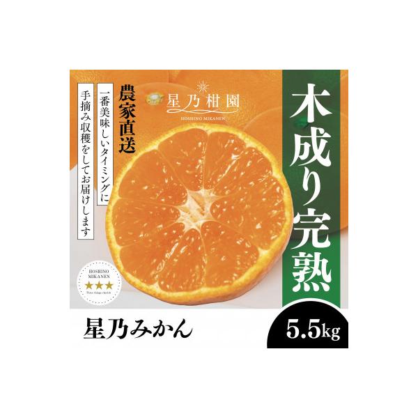 ふるさと納税 八幡浜市 【三つ星ブランド】星乃みかん(5.5kg)【C45-99