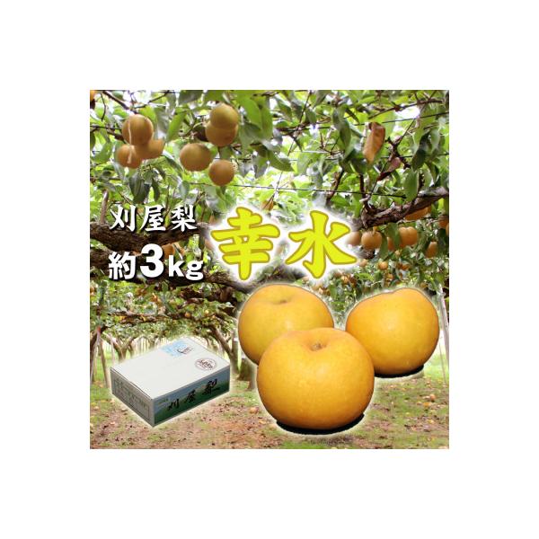 酒田刈屋梨　甘くジューシーな幸水　約3kg