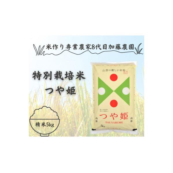農家直送　特別栽培米つや姫5kg　精米