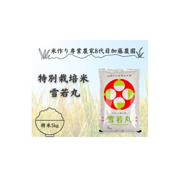 【令和8年産米】農家直送　特別栽培米雪若丸5kg　精米