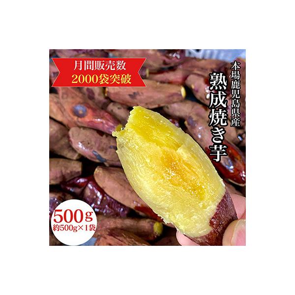 濃密 鹿児島県産 焼き芋 約500g【株式会社憲】2683  KN097-003-01