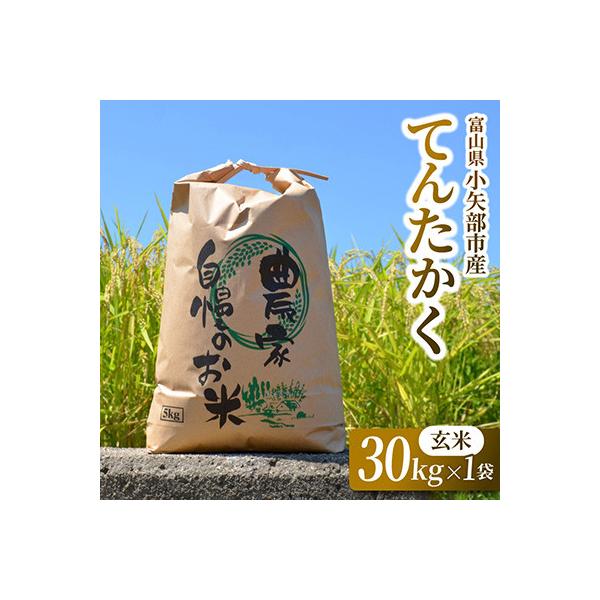 【2026年9月下旬頃から順次発送】令和8年産米「てんたかく」(玄米)30kg×1袋