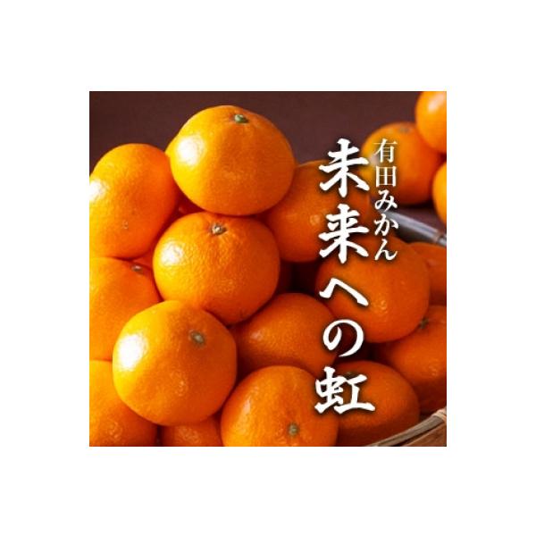 有田みかん「未来への虹」約5kg(藤田農園)