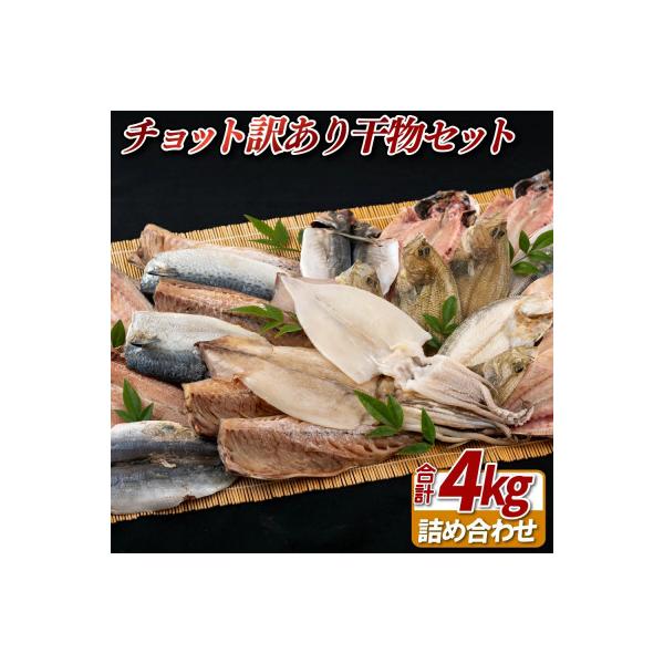 【かけはし水産】チョット訳あり干物セット A449
