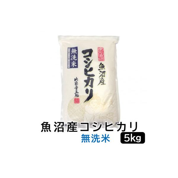 《無洗米》お米マイスター厳選!令和7年産魚沼産コシヒカリ 5kg