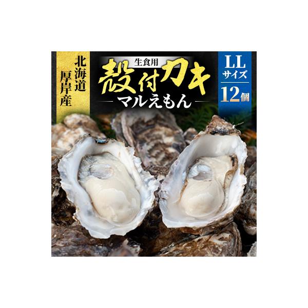北海道厚岸町産 牡蠣 生食用 殻付き牡蠣 「マルえもん」LLサイズ12個〈便利な牡蠣ナイフ付き〉