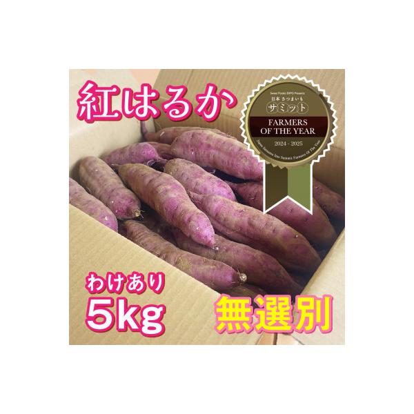 【期間限定】【訳あり】さつま芋 紅はるか 約5kg 千葉県香取市産