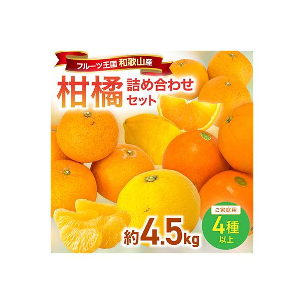 柑橘詰め合わせセット 家庭用4種以上 約4.5kg 和歌山産