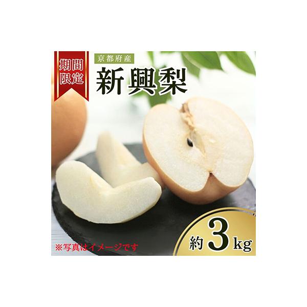 【先行予約・期間限定】2026年産 旬の新興梨 約3kg(5玉～8玉) 産地直送 果物 秋のフルーツ