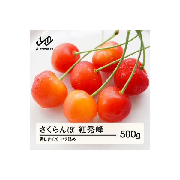 ■お礼品詳細　・配送種別：冷蔵便　・提供元：株式会社東根農産センター（山辺町）■お申し込み・配送・その他　・発送時期：2026/06/11〜2026/07/10(お届け時間帯指定可)　・申込受付期間：〜2026-05-31　・配達外のエリア...