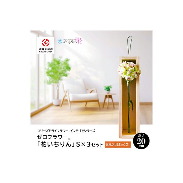 ふるさと納税 酒田市 ゼロフラワー「花いちりん」S×3セット/おまかせ