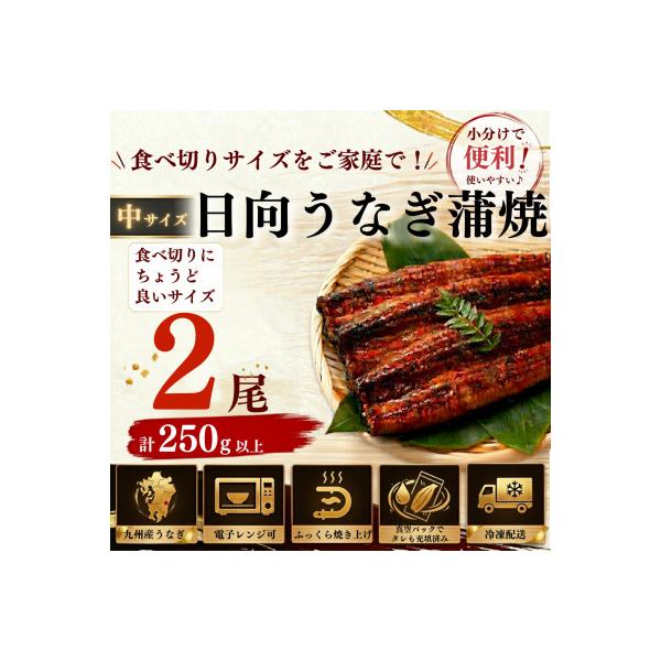 日向極みうなぎ蒲焼2尾(計250g以上)