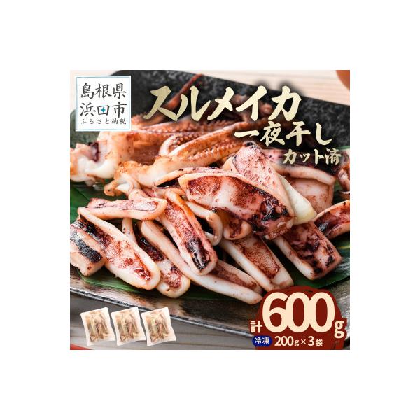 島根県産浜田市加工　食べ応え大満足のスルメイカ一夜干し(600g)【小分け個包装】