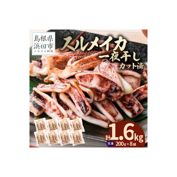 島根県産浜田市加工　食べ応え大満足のスルメイカ一夜干し(1.6kg)【小分け個包装】