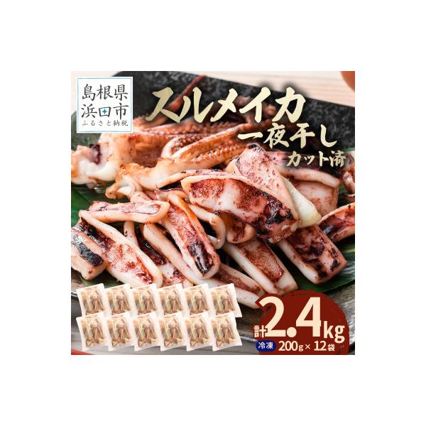 島根県産浜田市加工　食べ応え大満足のスルメイカ一夜干し(2.4kg)【小分け個包装】