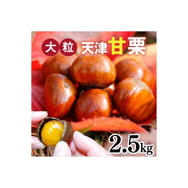 天津甘栗 2.5kg