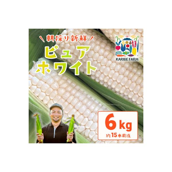 下妻産朝採りとうもろこし(ピュアホワイト)約6kg  約15本前後入り 27年6月下旬から7月発送