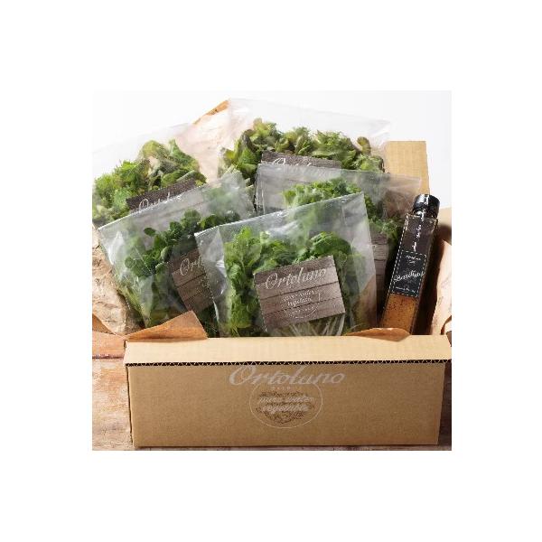 ■お礼品詳細　・配送種別：冷蔵便　・提供元：両備ホールディングス株式会社■お申し込み・配送・その他　・発送時期：2025/10/10から順次発送 ※2025/10/10以降のお申し込みは2週間程度で順次発送予定　・申込受付期間：通年　・配達...