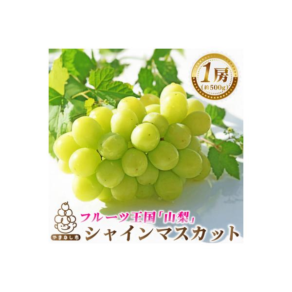 2026年発送　シャインマスカット1房(約500g)