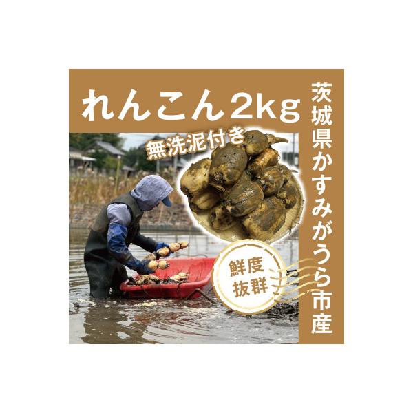 ■お礼品詳細　・配送種別：冷蔵便　・提供元：ロータス■お申し込み・配送・その他　・発送時期：〜2026/03/16(お届け時間帯指定可)　・申込受付期間：〜2026-03-05　・配達外のエリア：離島　・寄付証明書の送付時期目安：申込完了日...