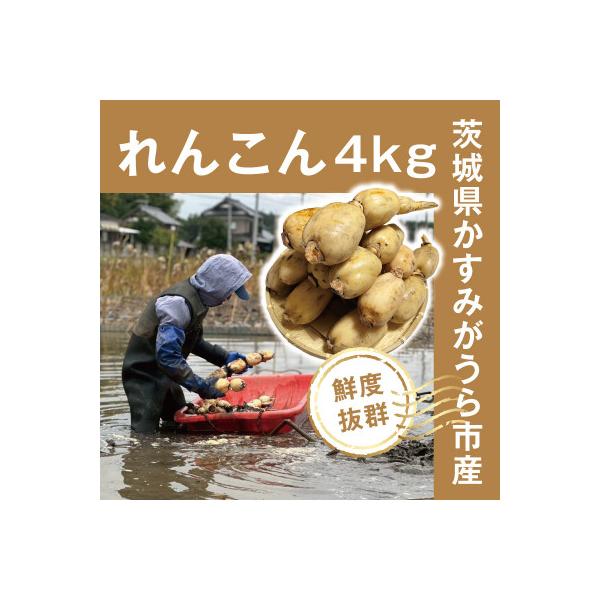 ■お礼品詳細　・配送種別：冷蔵便　・提供元：ロータス■お申し込み・配送・その他　・発送時期：〜2026/03/16(お届け時間帯指定可)　・申込受付期間：〜2026-03-05　・配達外のエリア：離島　・寄付証明書の送付時期目安：申込完了日...