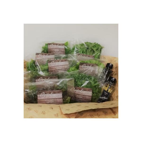 ■お礼品詳細　・配送種別：冷蔵便　・提供元：両備ホールディングス株式会社■お申し込み・配送・その他　・発送時期：2025/10/10から順次発送 ※2025/10/10以降のお申し込みは2週間程度で順次発送予定　・申込受付期間：通年　・配達...