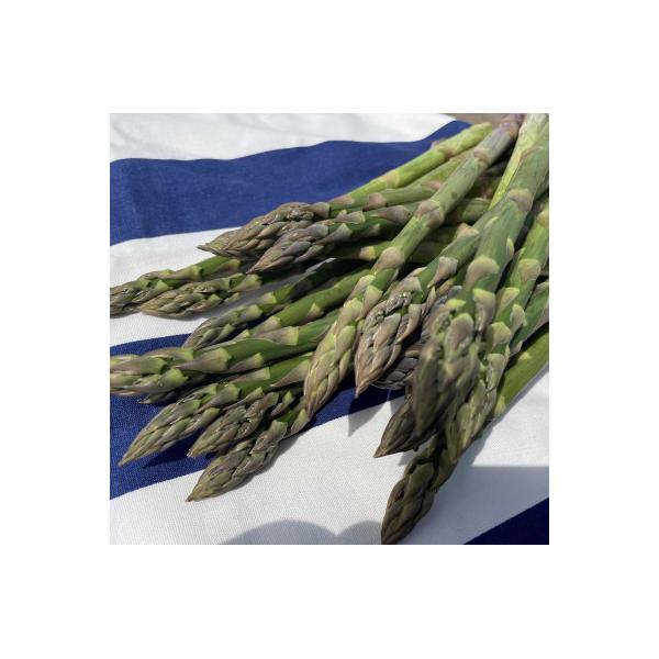 ■お礼品詳細　・配送種別：冷蔵便　・提供元：株式会社しまねずみファーム■お申し込み・配送・その他　・発送時期：2026/04/10〜2026/05/20(お届け時間帯指定可)　・申込受付期間：〜2026-05-09　・配達外のエリア：離島　...