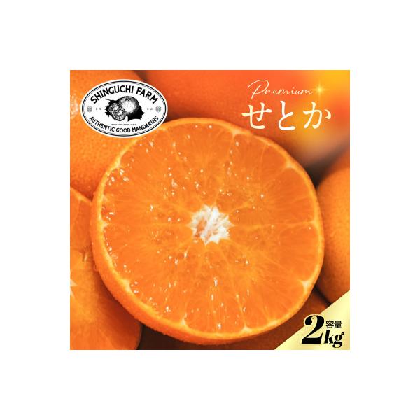 おみかん。　リフィル2点 八幡浜市 【リフィル】 【2026年2月発送】柑橘の大トロ【せとか 🏅 2kg】