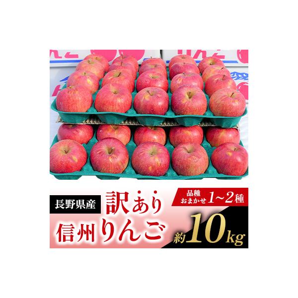 【訳あり】長野県産 りんご 約10kg　品種おまかせ(1～2種)シナノスイート・名月・サンふじ等